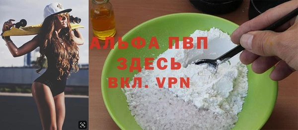 стаф Алексин