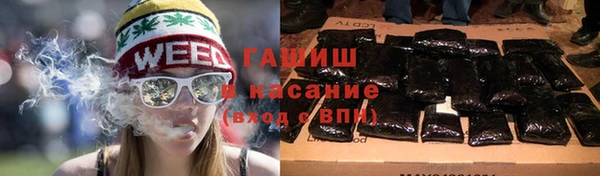 стаф Алексин