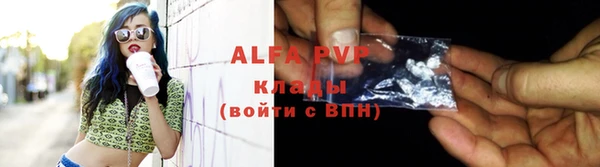 крисы Мегион