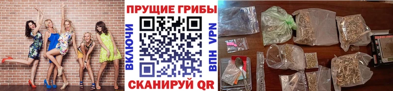 Псилоцибиновые грибы мухоморы  закладка  Адыгейск 